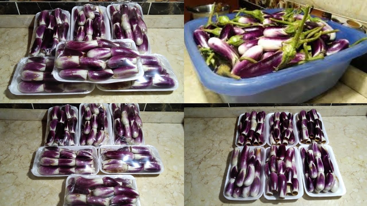 تخزين الباذنجان للمحشى طول السنه وهيفضل طازه من غير ما يجلد وهيبقى معاكى زبده
