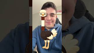 What Kind Of Bird Is That