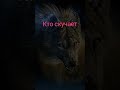 Кому надо Shorts 2023 жизни Кому надо Shorts 2023 жизни