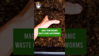 Organic Vermi Compost