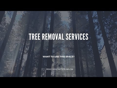 arbor tree care atlanta owner