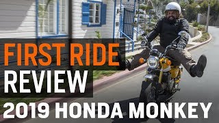 Honda Monkey First Ride Review