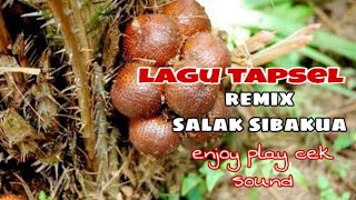 Dj Remix salak si bakua mp3 tapsel v