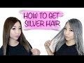 How To Get Silver Hair from Brown Hair Tutorial