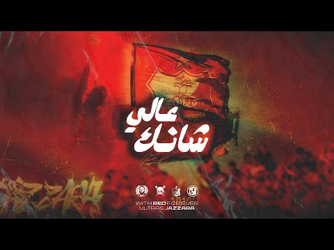 شانك عالي  