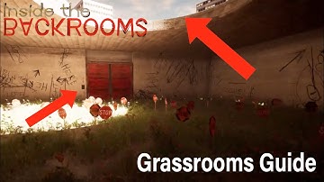 Inside the Backroom: Grassrooms Guide