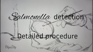 Salmonella Detailed Procedure