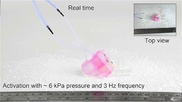 Scalable Sim-to-Real Transfer of Soft Robot Designs