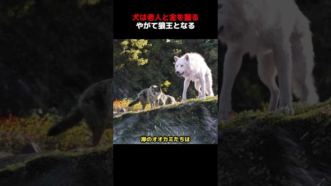 ただの野良犬だった一匹が、やがてオオカミの群れを率いる存在となる!