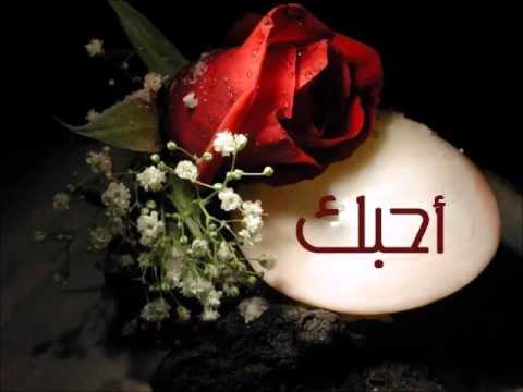 كاظم الساهر موال كاس العمر مع اغنية عبرت الشط