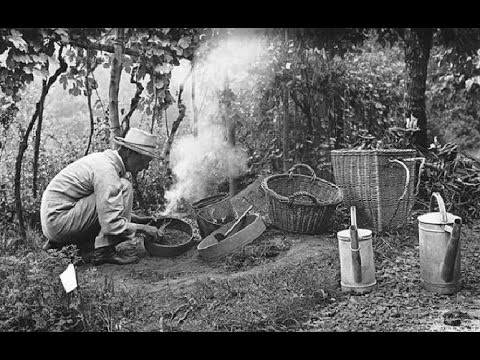 La lunga estate di Hermann Hesse