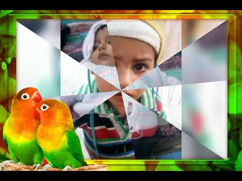 Tanish Gujjar(2)