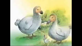 Dodo Bird Tribute.wmv