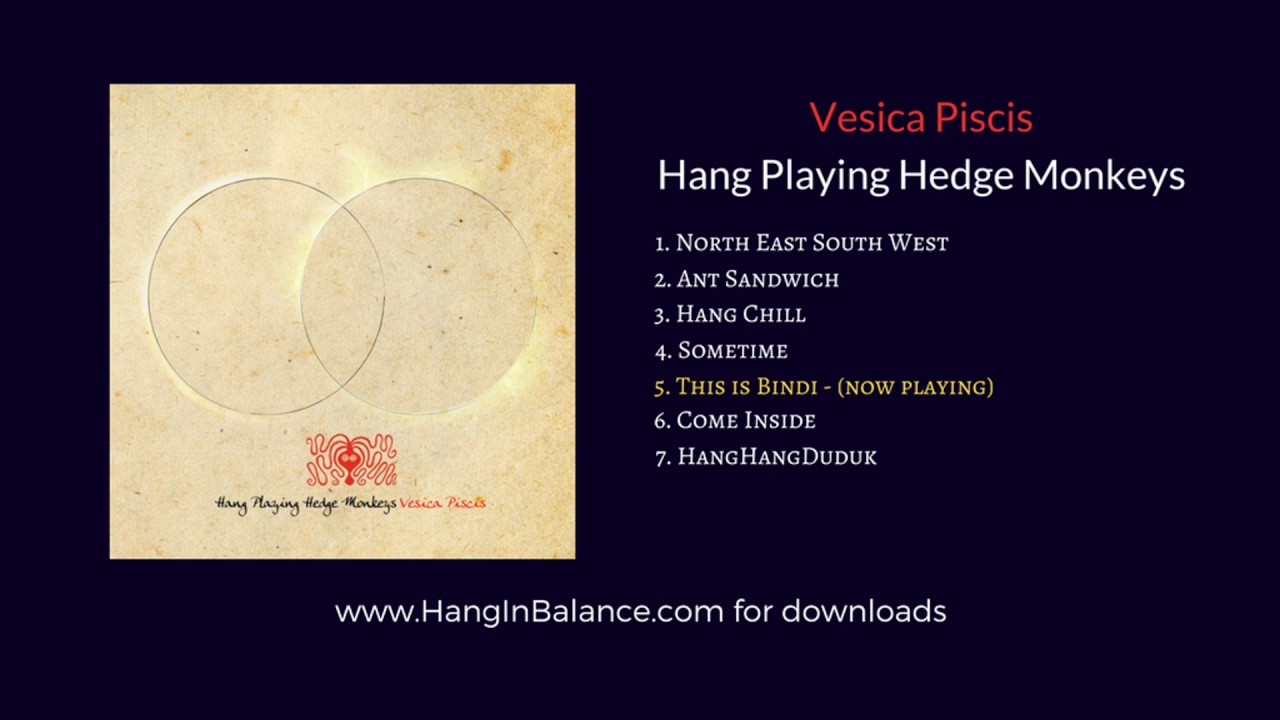 This is Bindi by the Hang Playing Hedge Monkeys | Track 5 | Vesica Piscis Album (audio only)
