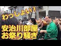 安治川部屋のお祭り騒ぎ 【祝】安青錦 大関昇進