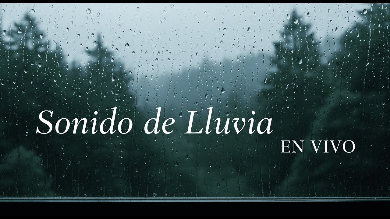 8 Horas de Lluvia y Truenos 🌧️⚡ Sonidos de la Naturaleza para Dormir ...
