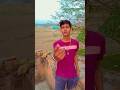 ￼ चाँद तारों को तोड़ लाऊंगा में 😂🤣 #shorts #funnyvideo #comedy #shortfeed #trending ￼