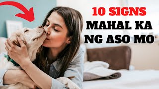 MAHAL KA BA NG ASO MO? | 10 SIGNS YOUR DOGS LOVE YOU