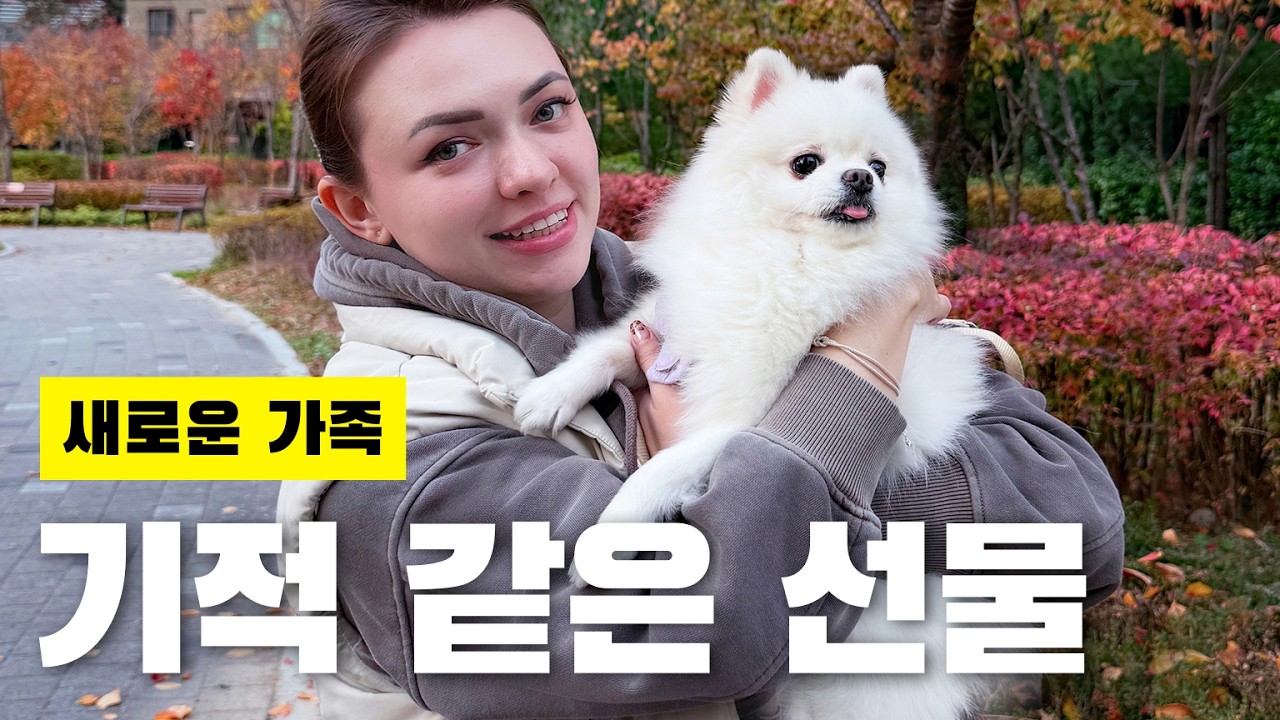 Украинская жена влюбилась с первого взгляда! 🐶 Наш новый член семьи