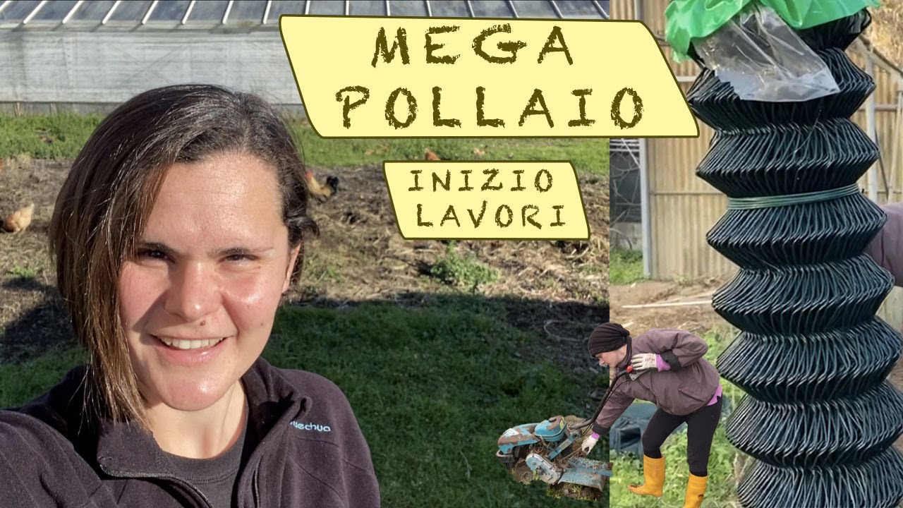 costruzione MEGA POLLAIO - prima parte