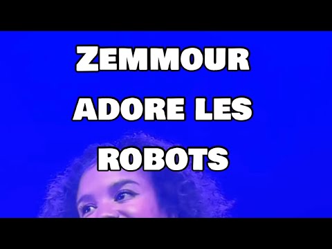 Des robots dans les Ehpad : la dernière idée de Zemmour