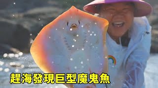 小漁趕海發現巨型魔鬼魚，下一秒竟還有超大海鰻，驚呼這下發大財【漁小仙】