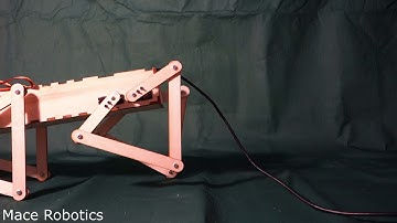 Borvo - The quadruped robot - first steps