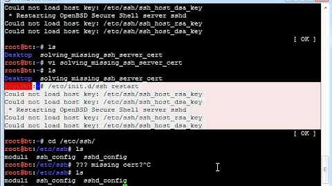 Solving missing ssh_host_dsa_key or ssh_host_rsa_key
