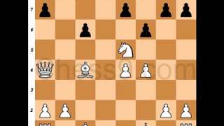 Free Chess Puzzles 1/25/2011 screenshot 5