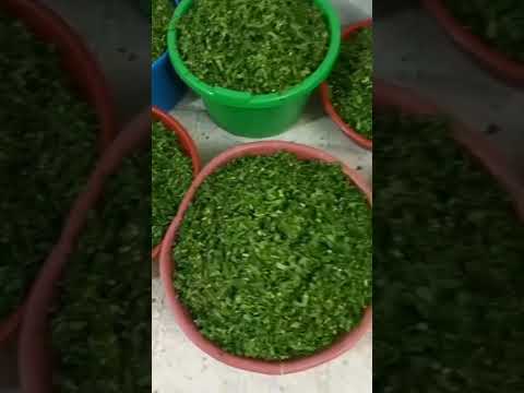 سماقية العريس غزاوية فلسطينية