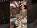 Hoy vamos a hacer masa con nata de leche para empandas o sopitos