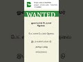 வேலை தேவை டெட் லாக் டெய்லர் 9952205613 #job #textileindustry #garmentindustry
