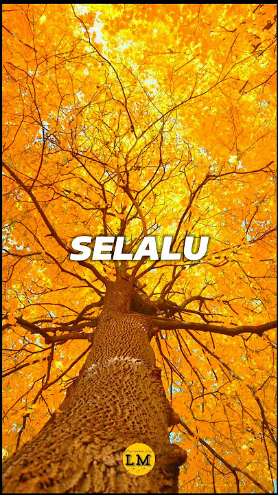 NISCAYA - BILAL INDRAJAYA #letsmusic #musiclyrics #music