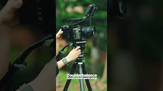 Leofoto LS-324CEX   BV-20 – your ultimate filming solution