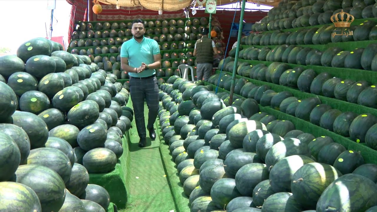 يسعد صباحك | بلال العجارمة - 