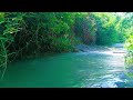 Relaxing Sounds for Sleep 🌲 Healing Water Sounds for Sleep