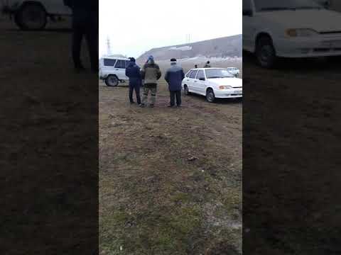 Кабардинская порода(4)