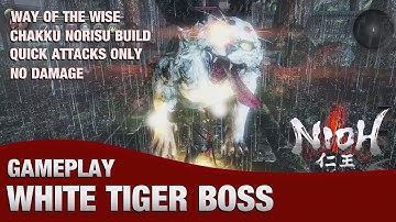 Nioh - Chakku Norisu VS White Tiger Challenge (Quick Attacks Only, No Damage)