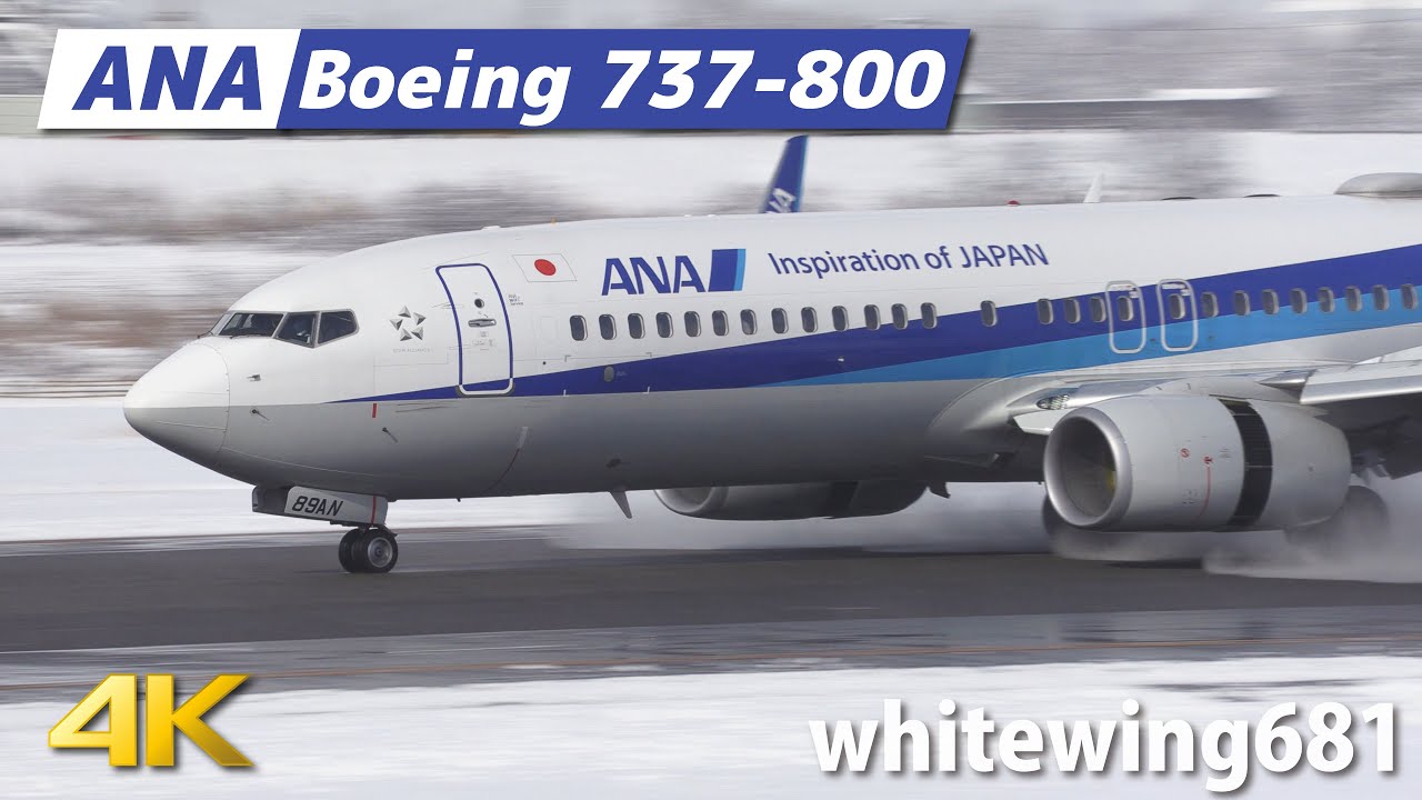 B737-800] ANA Boeing 737-800 JA89AN LANDING TOYAMA Airport 富山