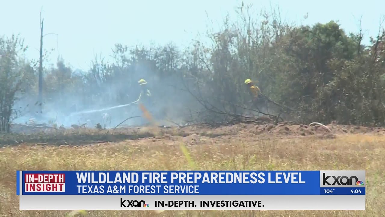 David Yeomans Interview with the Texas A&M Forest Services' Karen Stafford