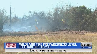 David Yeomans Interview with the Texas A&M Forest Services' Karen Stafford