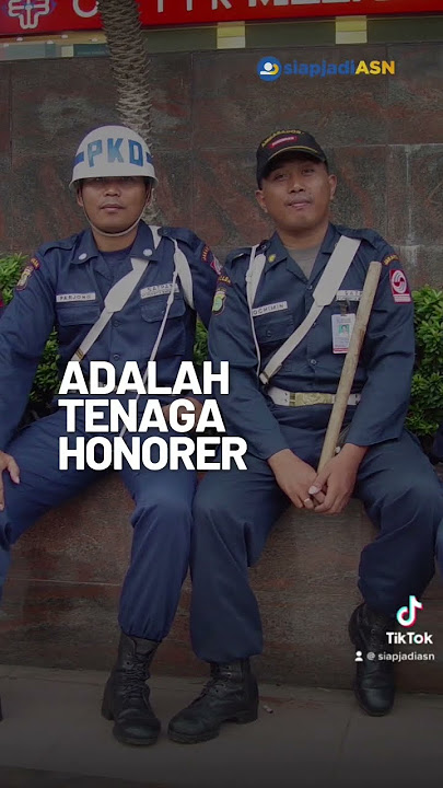 4 Golongan Honorer yang akan dijamin Pemerintah #cpns #cpns2023 #pppk #bumn #pns  #honorer