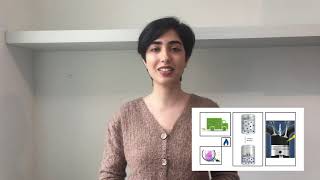 FAS Three Minute Thesis (3MT) 2021 | Kim Haghighi