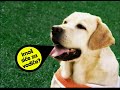 Imaš siće za vodiče? | Reklama | Betacam SP | MASTER | 2008.