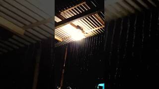 Download Lagu Klebus Sad Moment #new #fyp #tiktok #shorts #vlog #klebus MP3