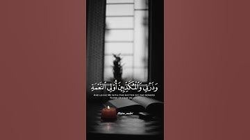 تلاوات تريح القلب 😍✨#قرآن