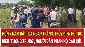Hơn 7 năm đất lúa ngập trắng, thủy điện hỗ trợ kiểu ‘tượng trưng’, người dân phẫn nộ cầu cứu