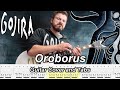 Oroborus  gojira  guitar cover and tab  instrumental