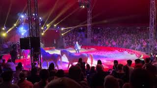Magyar Nemzeti Cirkusz, 30 éves jubileum