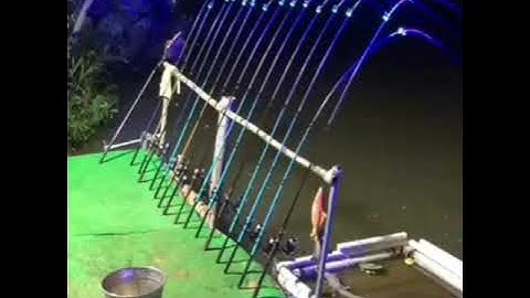 ✅ НА ЭТО МОЖНО СМОТРЕТЬ ВЕЧНО 👍#рыбалка #fishing #angling